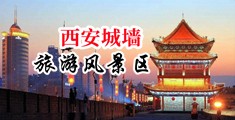 大鸡巴操骚逼鸡巴操插中国陕西-西安城墙旅游风景区